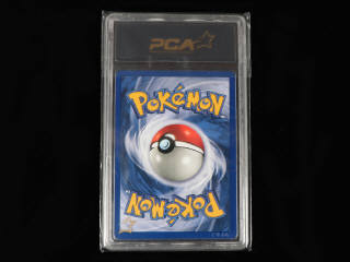 Lot 39 - POKEMON COMPANY (USA) (1)