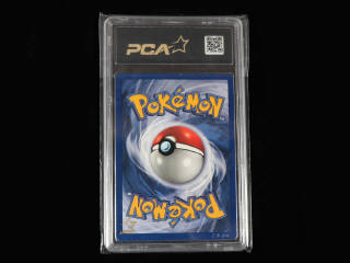Lot 51 - POKEMON COMPANY (USA) (1)