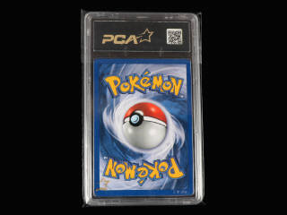 Lot 83 - POKEMON COMPANY (USA) (1)