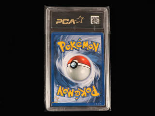 Lot 63 - POKEMON COMPANY (USA) (1)
