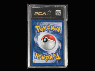 Lot 65 - POKEMON COMPANY (USA) (1)