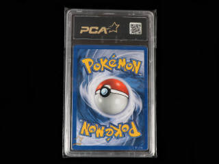 Lot 66 - POKEMON COMPANY (USA) (1)