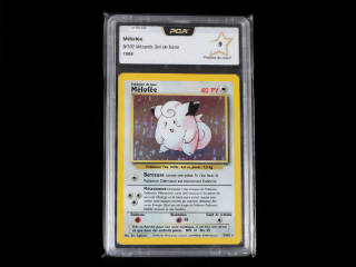 Lot 69 - POKEMON COMPANY (USA) (1)