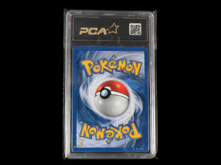 Lot 69 - POKEMON COMPANY (USA) (1)