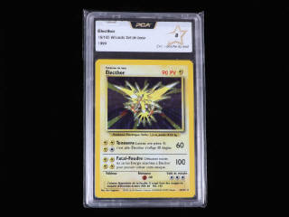 Lot 70 - POKEMON COMPANY (USA) (1)