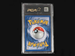 Lot 164 - POKEMON COMPANY (USA) (1)