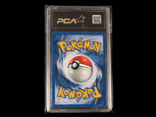 Lot 72 - POKEMON COMPANY (USA) (1)