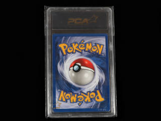 Lot 113 - POKEMON COMPANY (USA) (1)
