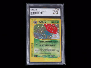Lot 90 - POKEMON COMPANY (USA) (1)