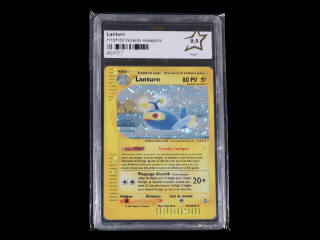 Lot 79 - POKEMON COMPANY (USA) (1)