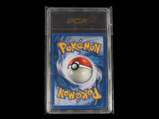 Lot 79 - POKEMON COMPANY (USA) (1)
