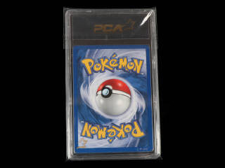 Lot 84 - POKEMON COMPANY (USA) (1)