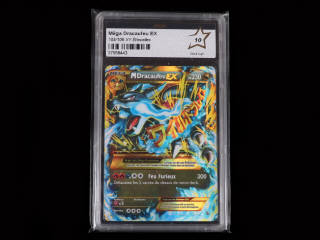 Lot 99 - POKEMON COMPANY (USA) (1)