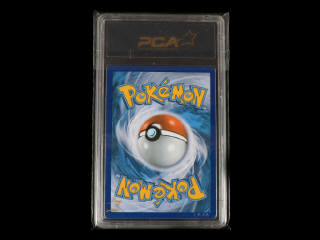 Lot 99 - POKEMON COMPANY (USA) (1)