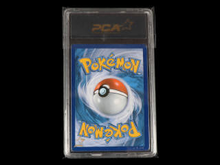 Lot 3 - POKEMON COMPANY (USA) (1)