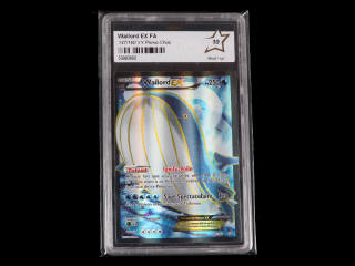 Lot 101 - POKEMON COMPANY (USA) (1)