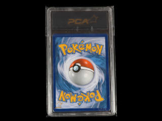 Lot 105 - POKEMON COMPANY (USA) (1)