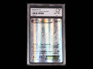 Lot 14 - POKEMON COMPANY (USA) (1)