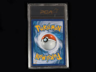 Lot 14 - POKEMON COMPANY (USA) (1)