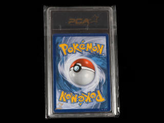 Lot 31 - POKEMON COMPANY (USA) (1)