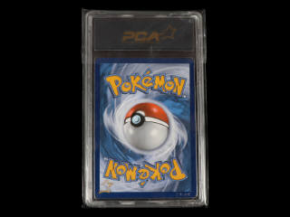 Lot 179 - POKEMON COMPANY (USA) (1)