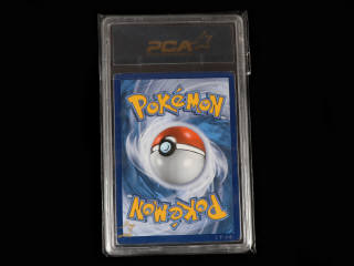Lot 109 - POKEMON COMPANY (USA) (1)