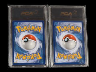 Lot 111 - POKEMON COMPANY (USA) (2)