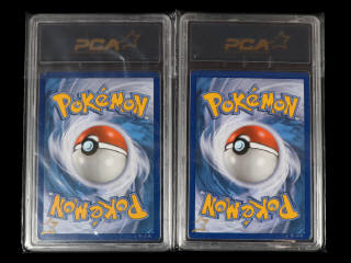 Lot 50 - POKEMON COMPANY (USA) (2)