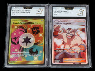 Lot 48 - POKEMON COMPANY (USA) (2)