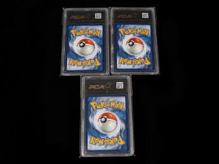 Lot 120 - POKEMON COMPANY (USA) (3)