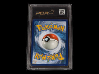 Lot 121 - POKEMON COMPANY (USA) (1)