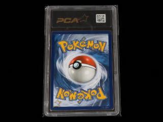 Lot 122 - POKEMON COMPANY (USA) (1)