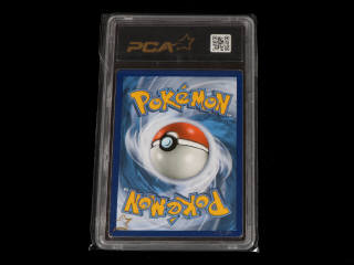 Lot 153 - POKEMON COMPANY (USA) (1)