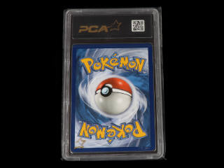 Lot 123 - POKEMON COMPANY (USA) (1)