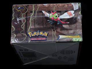 Lot 145 - POKEMON COMPANY (USA) (1)