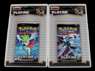 Lot 141 - POKEMON COMPANY (USA) (2)