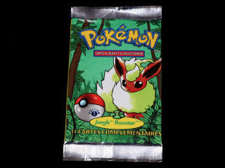 Lot 142 - POKEMON COMPANY (USA) (1)
