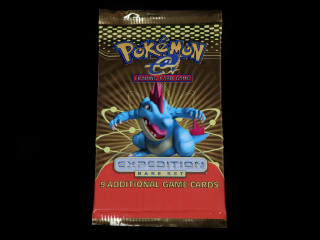 Lot 80 - POKEMON COMPANY (USA) (1)