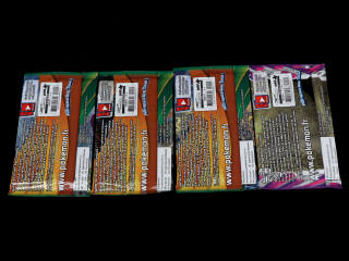 Lot 171 - POKEMON COMPANY (USA) (4)