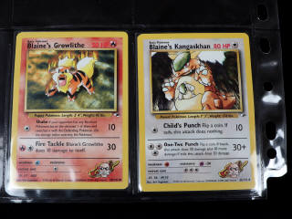Lot 130 - POKEMON COMPANY (USA) (132)
