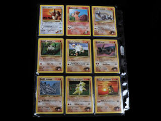 Lot 130 - POKEMON COMPANY (USA) (132)