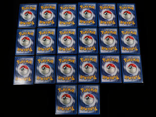 Lot 193 - POKEMON COMPANY (USA) (132)