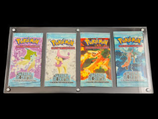 Lot 67 - POKEMON COMPANY (USA) (15)