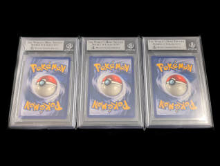 Lot 24 - POKEMON COMPANY (USA) (3)