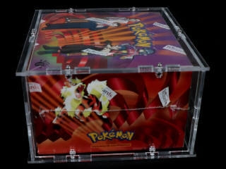 Lot 9 - POKEMON COMPANY (USA) (1)