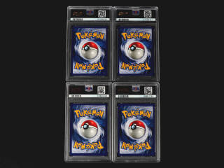 Lot 33 - POKEMON COMPANY (FRANCE) (16)