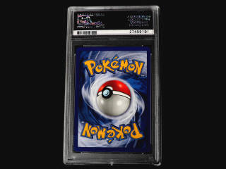 Lot 27 - POKEMON COMPANY (FRANCE) (1)