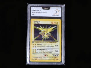 Lot 15 - POKEMON COMPANY (FRANCE) (1)