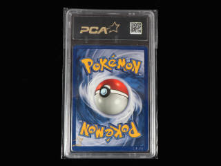 Lot 12 - POKEMON COMPANY (FRANCE) (1)