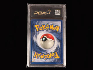 Lot 24 - POKEMON COMPANY (FRANCE) (1)